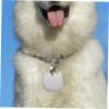 TOYANDONA 6-Piece Stainless Steel Pet ID Tags view 4