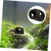 HOMOBABE Shrimp Hideaway Medium Aquarium Landscape view 3