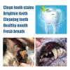 Pet Toothbrush Pen for Dogs and Cats, Teeth Cleaning and Fresh Breath, 1 Set view 3