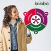 Kaloba Drops Herbal Medicine for Colds and Bronchitis, Viral Infections and Mucus, for Adults and Children 1+, 50 mL view 4