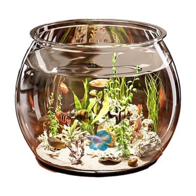 Small Clear Cylinder Aquarium for Betta Fish