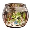 Small Clear Cylinder Aquarium for Betta Fish view 1