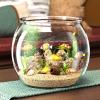 Small Clear Cylinder Aquarium for Betta Fish view 3