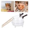 Toddmomy Hamster Bath with Wooden Ladder view 4