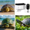 Turtle Basking Dock, Non-Slip Resting Platform for Reptiles view 4