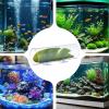 Fish Tunnel for Aquarium view 3