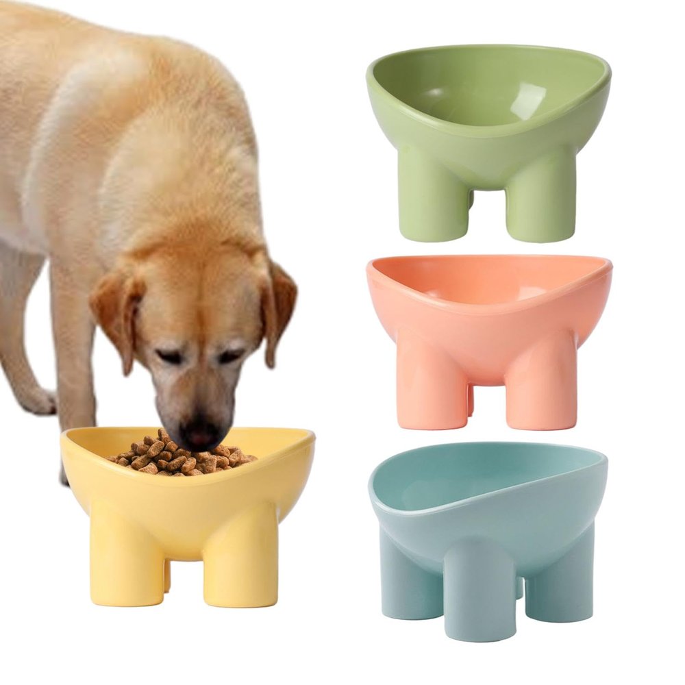 Cat Feeding Bowls, Elevated Non-Slip Angled Bowl - Fruit
