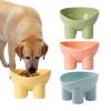 Cat Feeding Bowls, Elevated Non-Slip Angled Bowl - Fruit view 1
