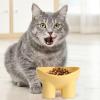 Cat Feeding Bowls, Elevated Non-Slip Angled Bowl - Fruit view 3