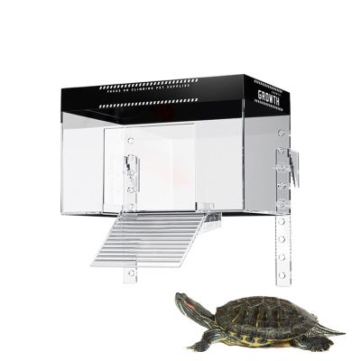 Turtle Basking Platform for Aquarium Tanks