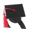 Abaodam Pet Graduation Headband for Cats and Dogs view 3