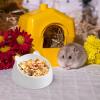 Food Bowl for Small Animals view 2