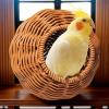 Hanging Imitation Rattan Bird Nest view 3