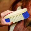 Horse Grooming Brush with Ergonomic Stiff Bristles view 3