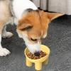 Cat Bowls for Indoor Cats, Elevated Non-Slip Angled Bowl - Fruit view 2