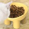 Cat Bowls for Indoor Cats, Elevated Non-Slip Angled Bowl - Fruit view 3