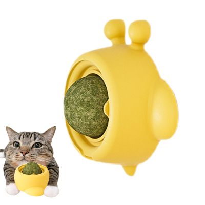 Dtaigou Catnip Balls for Cats