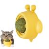 Dtaigou Catnip Balls for Cats view 1