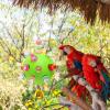 Colorful Planet Design Bird Chew Toy view 2