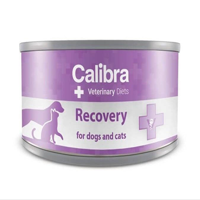 CALIBRA Vet Diet Dog/Cat Recovery 12 x 100 g