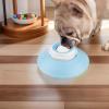 Slow Feeder Dog Bowl view 3
