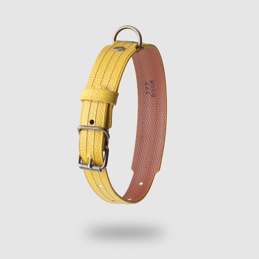 FR PAL Dog Collar M-L, Yellow and Brick