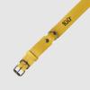 FR PAL Dog Collar M-L, Yellow and Brick view 3