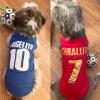 Personalized Pet Football Jersey view 2
