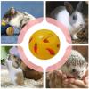 Treat Ball for Rabbits – Slow-Feeding Toy, Boredom Buster, Snack Ball and Food Puzzle for Small Animals view 4
