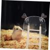 ERINGOGO Spacious Hamster Bath House with Bridge view 4