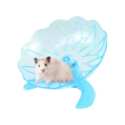 Hamster Wheel & Hedgehog Wheel | Small Animal Training Wheel