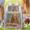 Cat Carrier Backpack, Large-Capacity Cat Backpack view 3