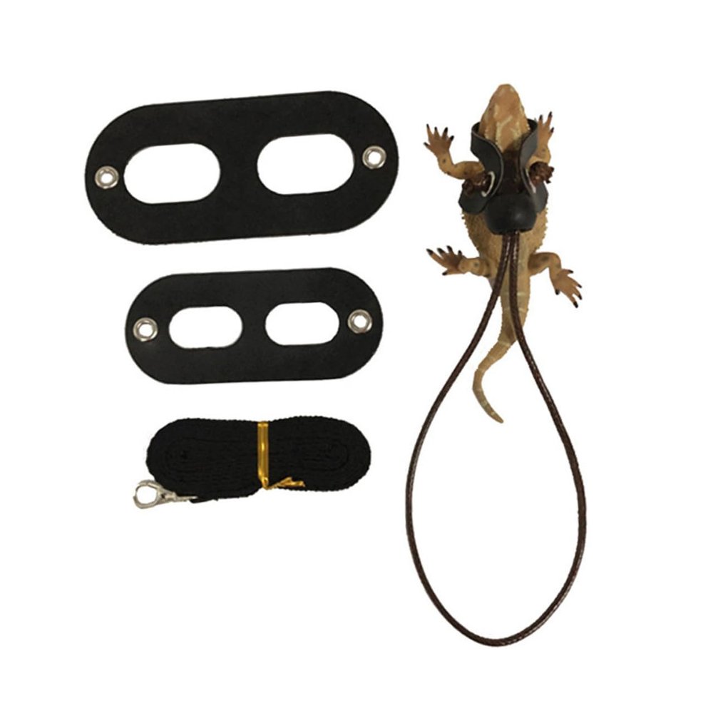 GALPADA 3-Piece Reptile Harness Set