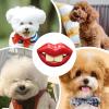 Silicone Pacifier for Dogs, Funny Pacifier for Small Dogs view 4