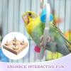 Bird Toy - lovbirdD - Metal Stimulation Toy view 2