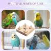 Bird Toy - lovbirdD - Metal Stimulation Toy view 3