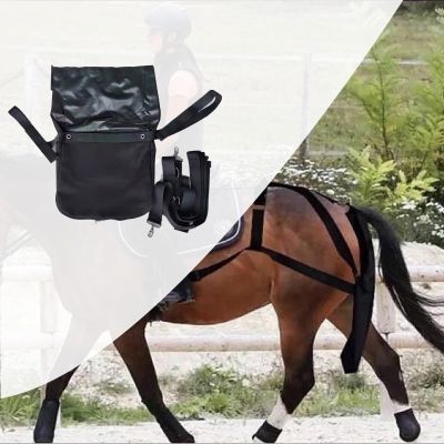 Jievmrs Washable Horse Manure Bag, Lightweight Horse Diaper and Manure Collector, Medium