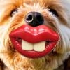 Zuasdvnk Silicone Dog Pacifier view 3