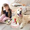 Dog Birthday Cake Toy view 3