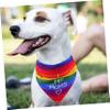 TOYANDONA Rainbow Pet Scarf view 4