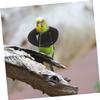 Hohopeti 4-Pack Parrot Recovery Collars with Soft Polar Fleece Lining view 4