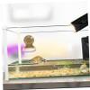 Toddmomy Reptile Water Bowl view 4