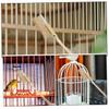VERDANVERSE Steel Bird Cage Brush with Long Handle view 3