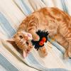 Generic Cat Grass Ball - Spider Plush Toy view 2