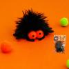 Generic Cat Grass Ball - Spider Plush Toy view 3