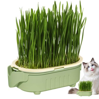 gifyym Cat Grass Planter Box