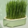 gifyym Cat Grass Planter Box view 3