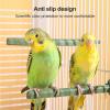 8X Bird Cage Perch Stand view 3