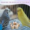 Uonguon Wooden Peg Toy for Birds view 3