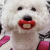 Lunaobrik Dog Pacifier Toy view 2